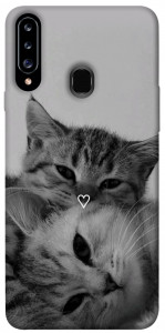 Чехол Grey cats для Galaxy A20s (2019)