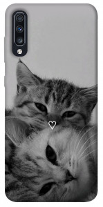 Чохол Grey cats для Galaxy A70 (2019)