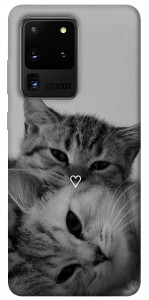 Чохол Grey cats для Galaxy S20 Ultra (2020)