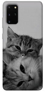Чохол Grey cats для Galaxy S20 Plus (2020)