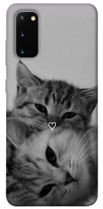 Чохол Grey cats для Galaxy S20 (2020)