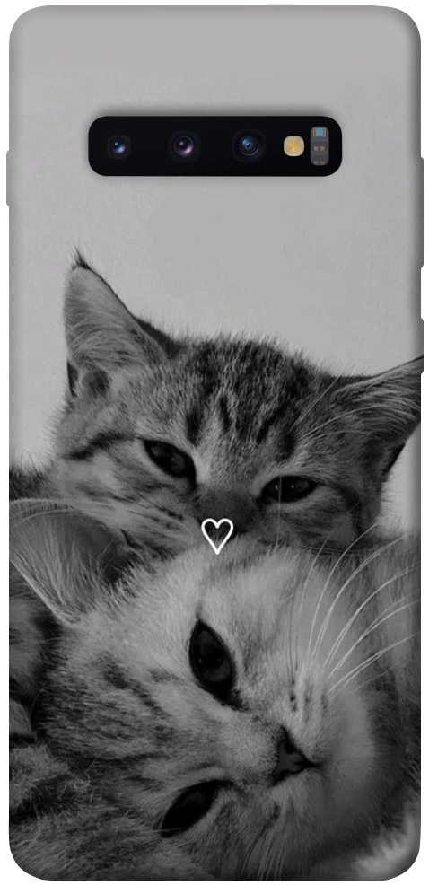 Чехол Grey cats для Galaxy S10 Plus (2019)