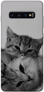Чехол Grey cats для Galaxy S10 Plus (2019)