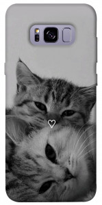 Чехол Grey cats для Galaxy S8+