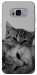 Чехол Grey cats для Galaxy S8+