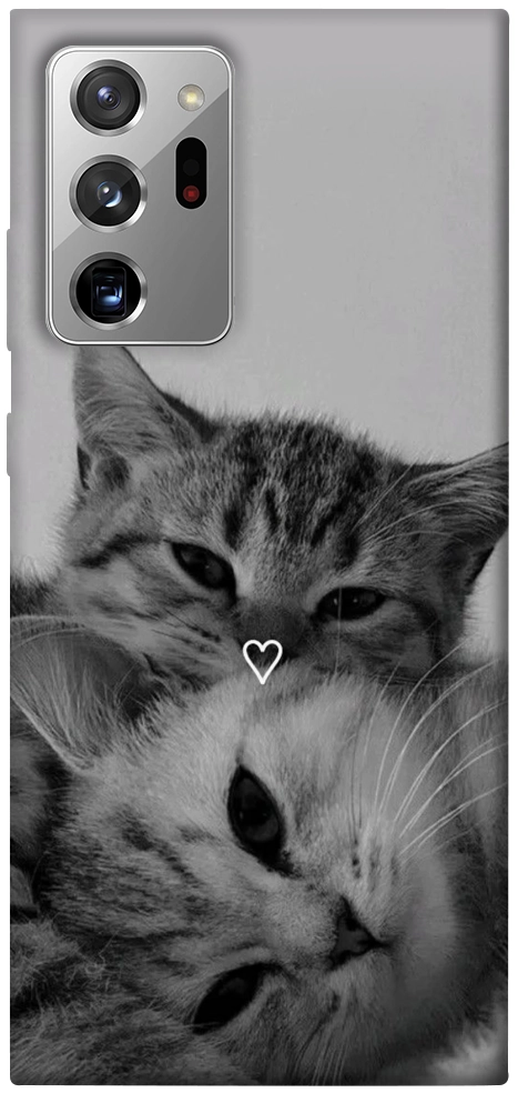 Чехол Grey cats для Galaxy Note 20 Ultra