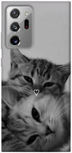 Чехол Grey cats для Galaxy Note 20 Ultra