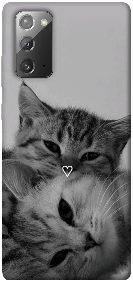 Чохол Grey cats для Galaxy Note 20