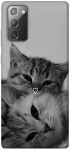 Чохол Grey cats для Galaxy Note 20
