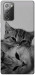 Чохол Grey cats для Galaxy Note 20