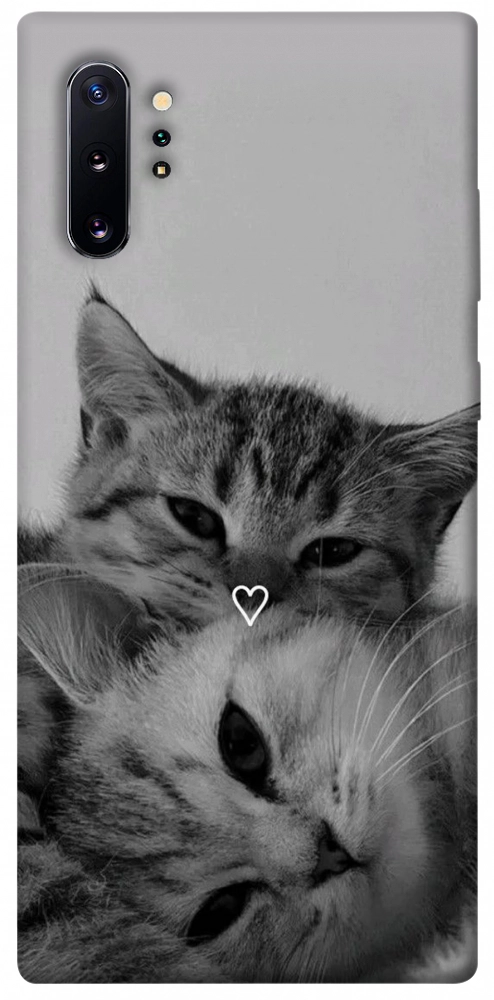 Чехол Grey cats для Galaxy Note 10+ (2019)
