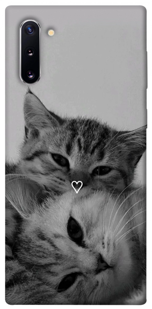 Чехол Grey cats для Galaxy Note 10 (2019)