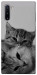 Чехол Grey cats для Galaxy Note 10 (2019)