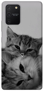 Чохол Grey cats для Galaxy S10 Lite (2020)