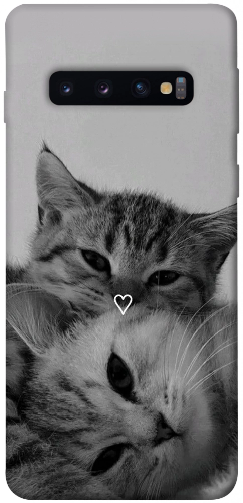 Чехол Grey cats для Galaxy S10 (2019)