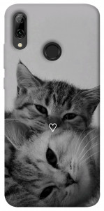 Чехол Grey cats для Huawei P Smart (2019)