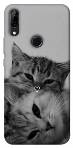 Чохол Grey cats для Huawei P Smart Z