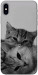 Чохол Grey cats для iPhone XS