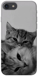 Чехол Grey cats для iPhone 8 (4.7")