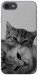 Чехол Grey cats для iPhone 8