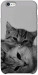 Чехол Grey cats для iPhone 6S Plus