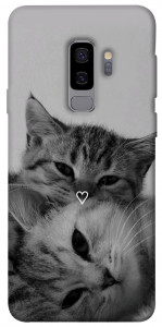 Чохол Grey cats для Galaxy S9+