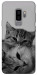 Чохол Grey cats для Galaxy S9+