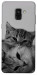Чохол Grey cats для Galaxy A8 (2018)