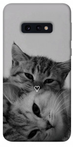 Чохол Grey cats для Galaxy S10e