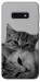 Чохол Grey cats для Galaxy S10e