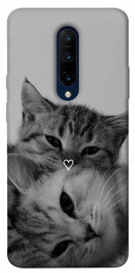 Чехол Grey cats для OnePlus 7 Pro