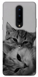 Чохол Grey cats для OnePlus 8