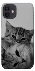 Чехол Grey cats для iPhone 12