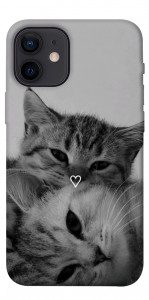 Чохол Grey cats для iPhone 12 mini