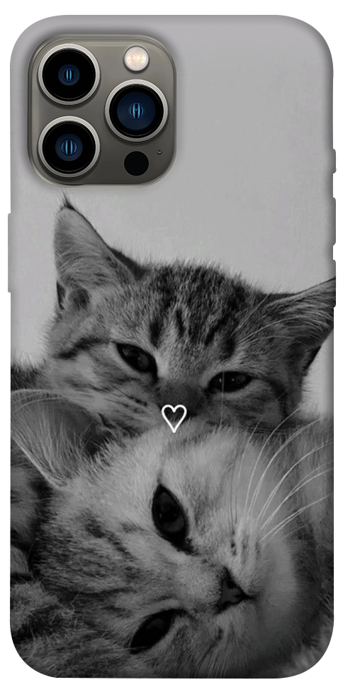 Чохол Grey cats для iPhone 12 Pro Max
