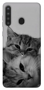Чохол Grey cats для Galaxy A21