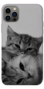 Чехол Grey cats для iPhone 12 Pro