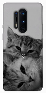 Чехол Grey cats для OnePlus 8 Pro