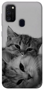 Чохол Grey cats для Samsung Galaxy M30s﻿
