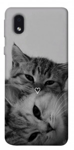 Чохол Grey cats для Samsung Galaxy M01 Core