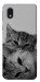 Чохол Grey cats для Galaxy M01 Core