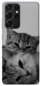 Чехол Grey cats для Galaxy S21 Ultra