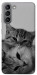Чохол Grey cats для Galaxy S21