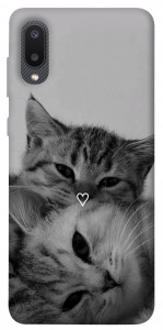 Чохол Grey cats для Galaxy A02