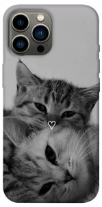 Чохол Grey cats для iPhone 13 Pro Max