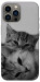 Чохол Grey cats для iPhone 13 Pro Max