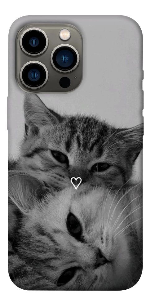 Чохол Grey cats для iPhone 13 Pro