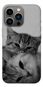 Чохол Grey cats для iPhone 13 Pro