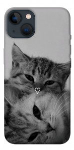 Чехол Grey cats для iPhone 13