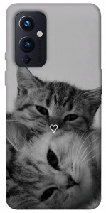 Чохол Grey cats для OnePlus 9